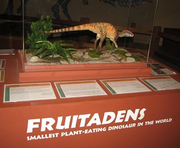 Fruitadens display. Dinosaur Journey Museum of Western Colorado, Fruita, CO.