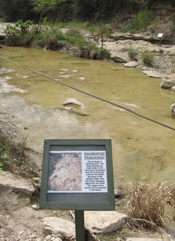 Sign indicating Sauropod tracks in Paluxy River. Dinosaur Valley State Park, Glen Rose, TX.