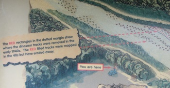 One of the many informative signs at Dinosaur Valley State Park, Glen Rose, TX.