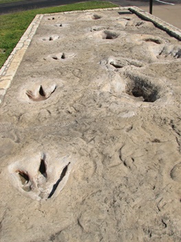 Cast of the tracks that now reside in the American Museum of Natural History, New York, NY.