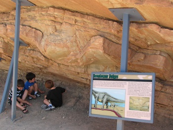 "Brontosaur Bulges" at Dinosaur Ridge, Morrison, CO.