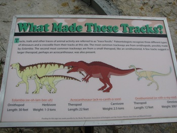 Who Made These Tracks? Sign at Dinosaur Ridge, Morrison, CO.