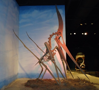 Terrific Pterandon display. McWane Science Center, Birmingham, AL.