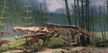 Late Triassic phytosaur Redondasaurus. Carnegie Museum of Natural History, Pittsburgh, PA.