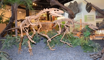 Two hunting Dromaeosaurus, Rocky Mountain Dinosaur Resource Center, Woodland Park, CO.