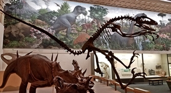 Leaping Deinonychus! Yale Peabody Museum, New Haven, CT.