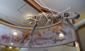 Wonderful Gorgosaurus skeleton greets guests at the Vistor Centre at Dinosaur Provincial Park, Alberta, Canada.
