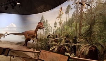 Diorama featuring Dilophosaurus at Dinosaur State Park, Rocky Hill, CT.