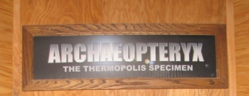 The "Thermopolis Specimen" of Archaeopteryx is considered one of the most complete in the world. Wyoming Dinosaur Center, Thermopolis, WY.