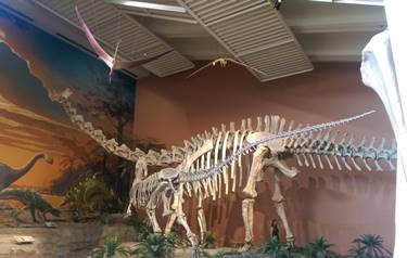 Jurassic gallery at the New Mexico Museum of Natural History, Albuquerque, NM.