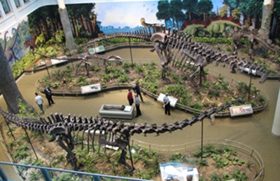"Dinosaurs in their Time" at the Carnegie Museum of Natural History, Pittsburgh, PA.