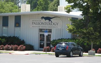 The B.Y.U. Museum of Paleontology, Provo, UT.