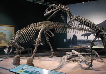 Allosaurus stalking Camptosaurus at the Science Museum of Minnesota, St. Paul, MN.