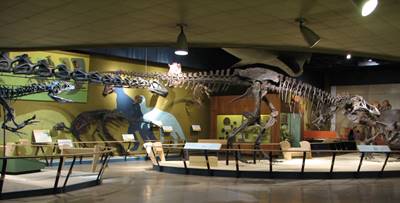 The Kirtland Hall of Prehistoric Life at the Cleveland Museum of Natural History, Cleveland, OH.