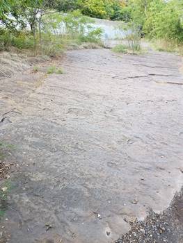 A large portion of the trackway, with the river behind. Dinosaur Footprints Reservation, Holyoke, MA.