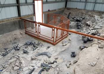 View inside one of the quarry buildings at the Cleveland-Lloyd Dinosaur Quarry, near Cleveland, UT.