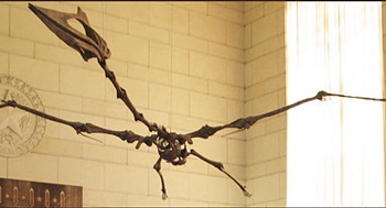 Hanging from the Great Hall is the giant Texas pterosaur Quetzalcoatlus. Texas Memorial Museum, Austin, TX. Photo credit: Texas Memorial Museum.