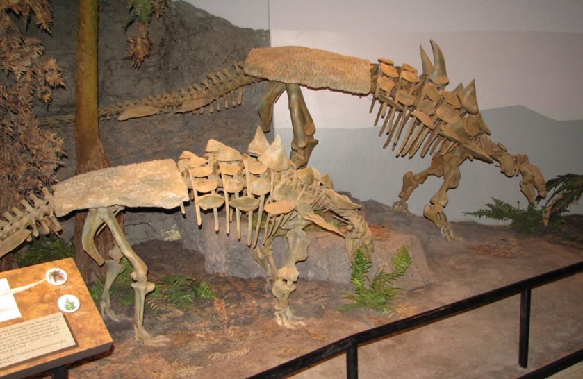 Two Gastonia at the Museum of Ancient Life at Thanksgiving Point, Lehi, UT. Photo credit: John Gnida.